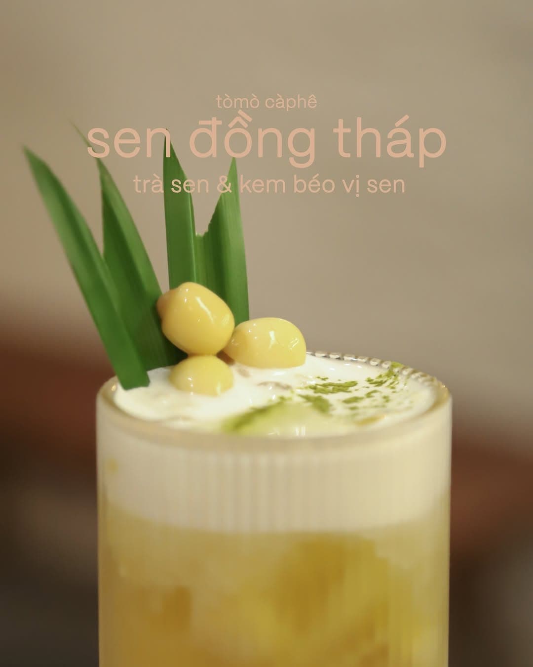longan.jpg