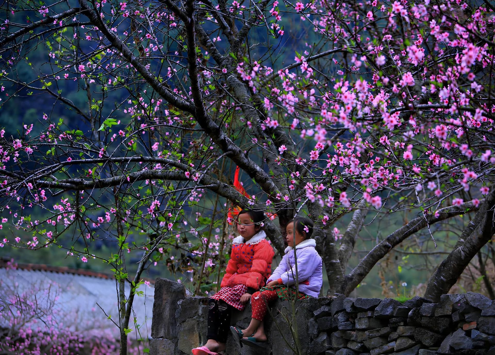Tour 3 Ngày 2 Đêm image