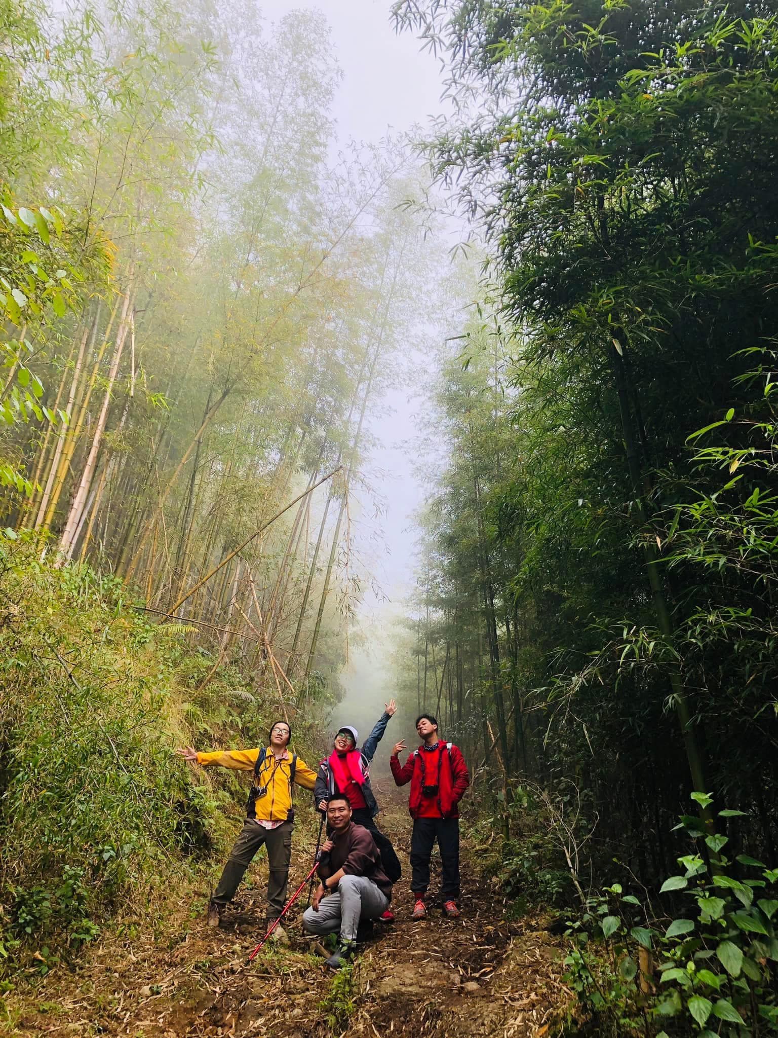 Tour Trekking image