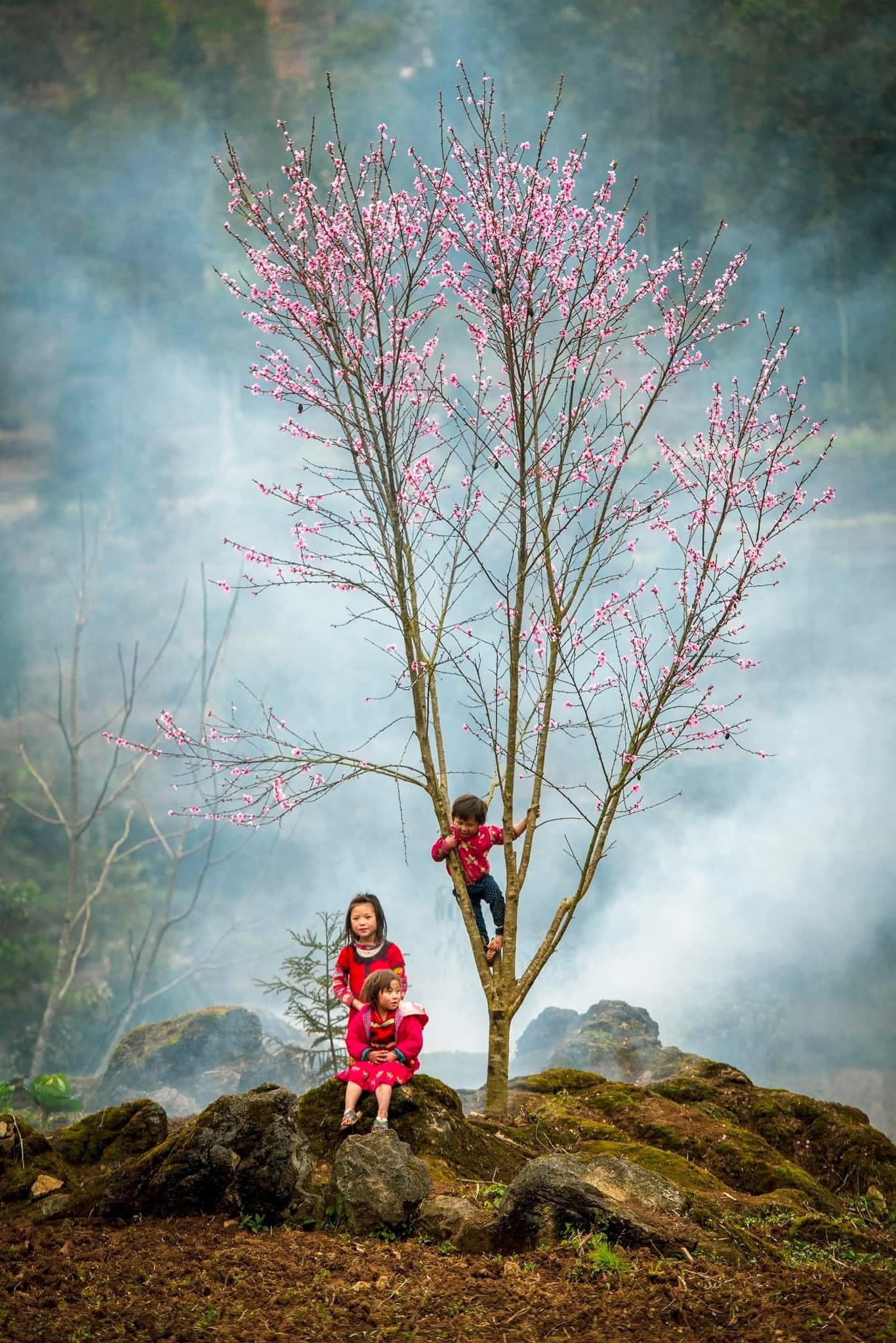 Tour 7 Ngày image